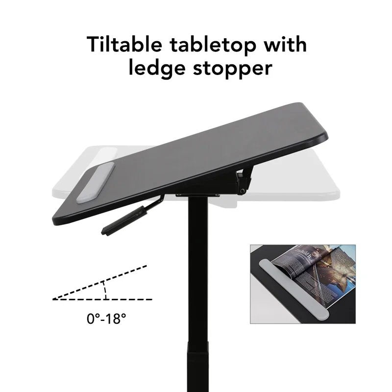 Flexispot Height Adjustable Mobile Desk MT3