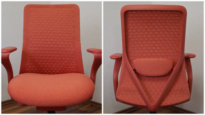 FLEXISPOT BackSupport BS13 Office Chair