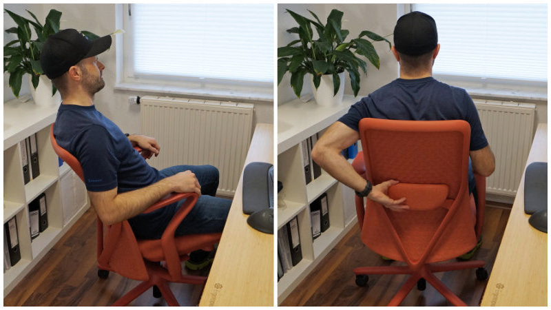 FLEXISPOT BackSupport BS13 Office Chair