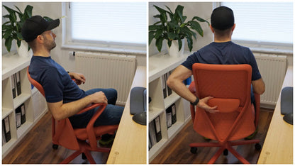 FLEXISPOT BackSupport BS13 Office Chair