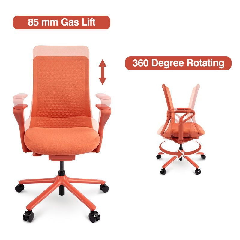 FLEXISPOT BackSupport BS13 Office Chair