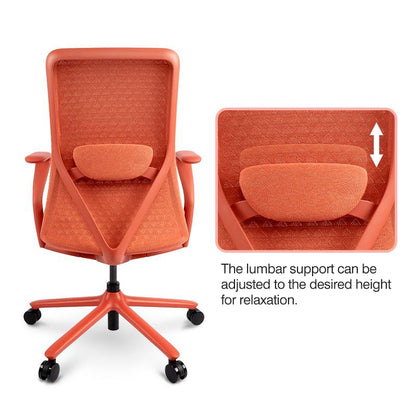 FLEXISPOT BackSupport BS13 Office Chair