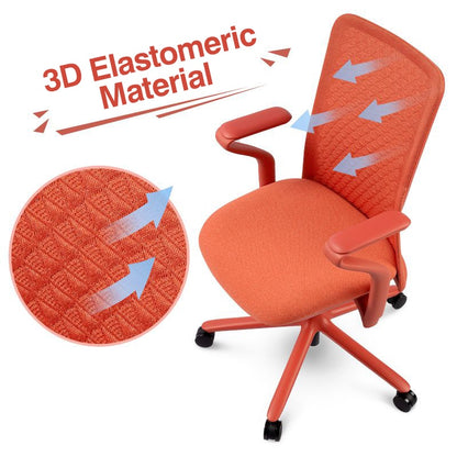 FLEXISPOT BackSupport BS13 Office Chair