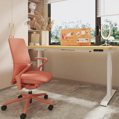 FLEXISPOT BackSupport BS13 Office Chair