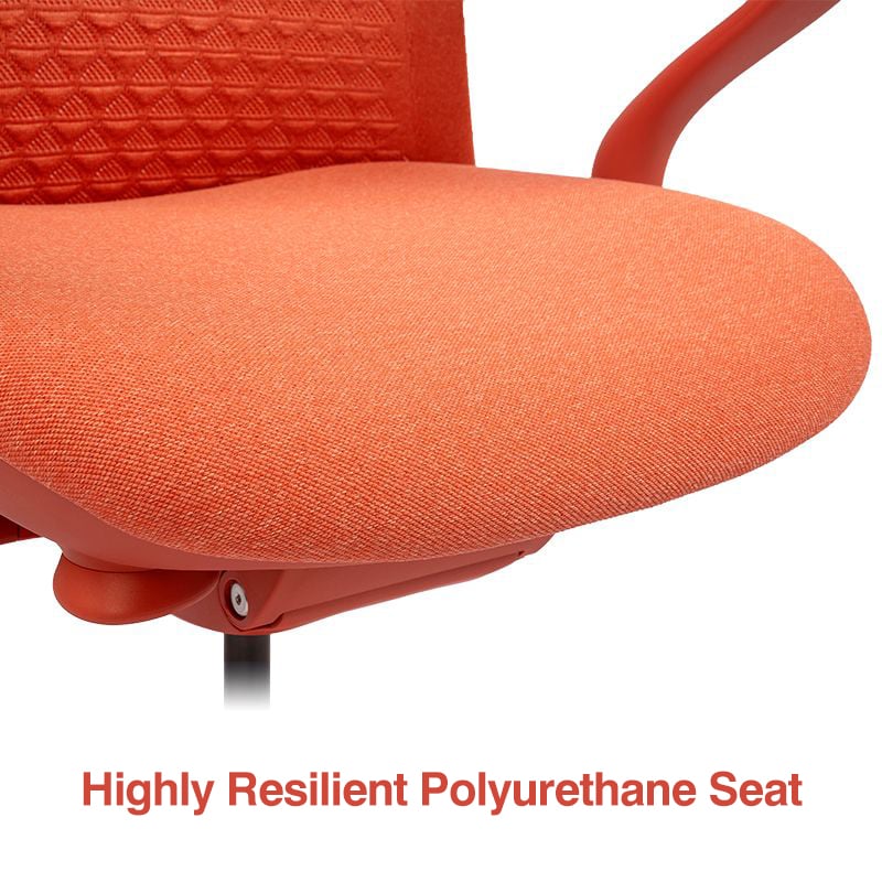 FLEXISPOT BackSupport BS13 Office Chair