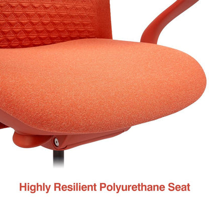 FLEXISPOT BackSupport BS13 Office Chair