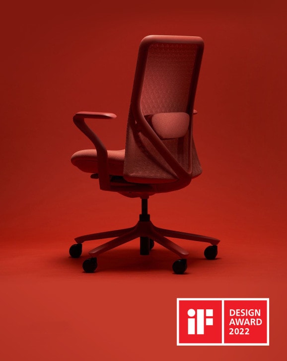 FLEXISPOT BackSupport BS13 Office Chair
