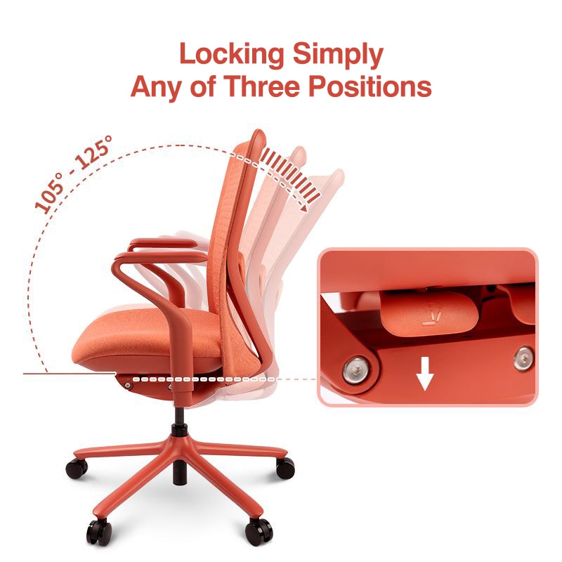 FLEXISPOT BackSupport BS13 Office Chair