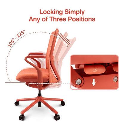 FLEXISPOT BackSupport BS13 Office Chair