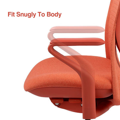 FLEXISPOT BackSupport BS13 Office Chair