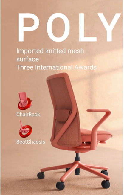 FLEXISPOT BackSupport BS13 Office Chair