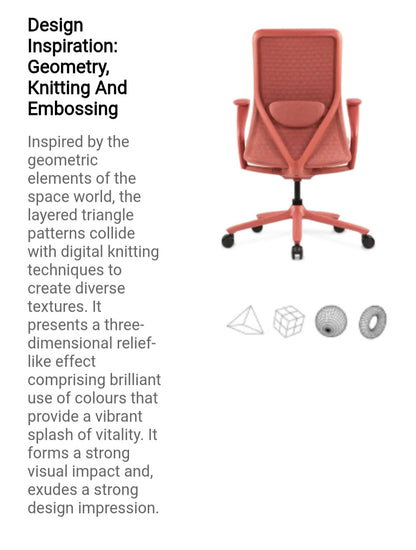 FLEXISPOT BackSupport BS13 Office Chair