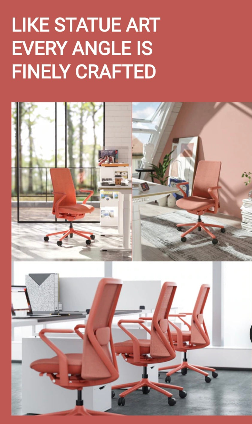 FLEXISPOT BackSupport BS13 Office Chair