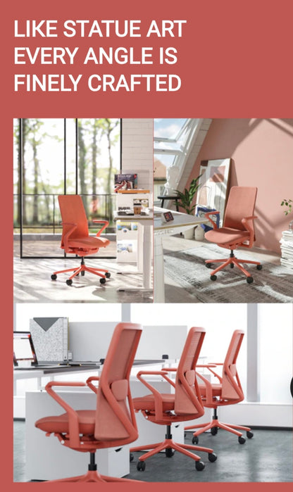 FLEXISPOT BackSupport BS13 Office Chair