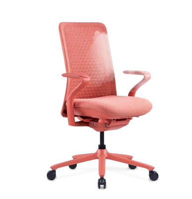 FLEXISPOT BackSupport BS13 Office Chair