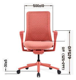 FLEXISPOT BackSupport BS13 Office Chair