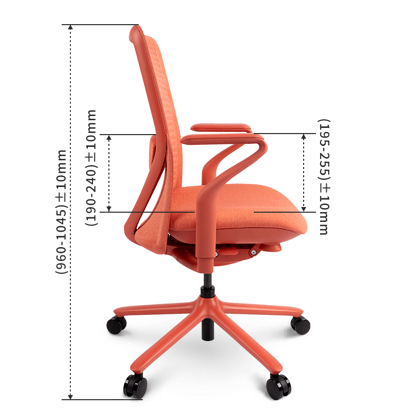FLEXISPOT BackSupport BS13 Office Chair