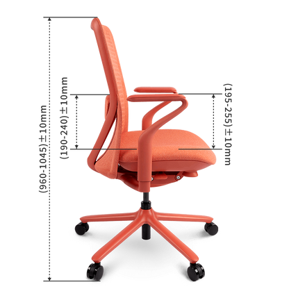 FLEXISPOT BackSupport BS13 Office Chair