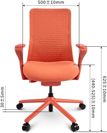 FLEXISPOT BackSupport BS13 Office Chair