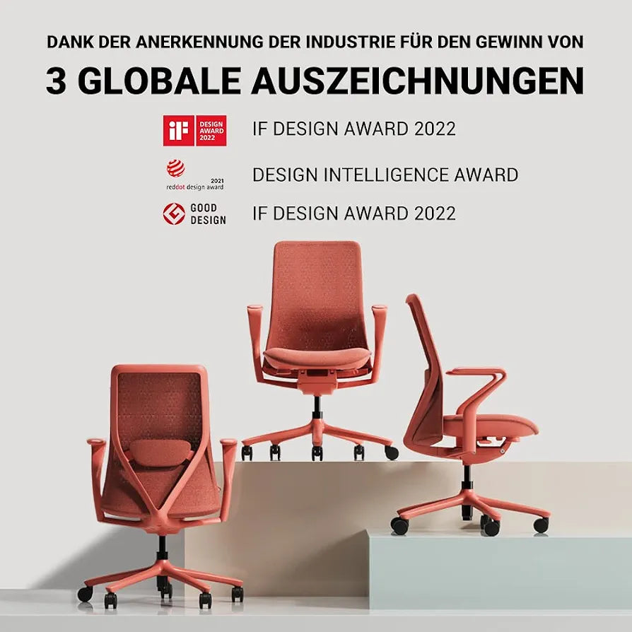 FLEXISPOT BackSupport BS13 Office Chair