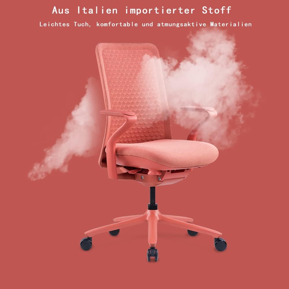 FLEXISPOT BackSupport BS13 Office Chair