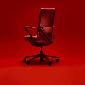 FLEXISPOT BackSupport BS13 Office Chair