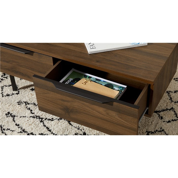 Damien Coffee Table with 2 Drawers