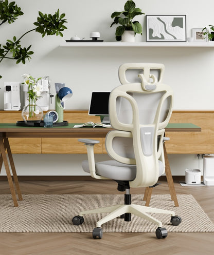 FLEXISPOT Ergonomic Chair with Cloud-like Cushion (BS5 Series)