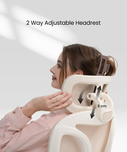 FLEXISPOT Ergonomic Chair with Cloud-like Cushion (BS5 Series)