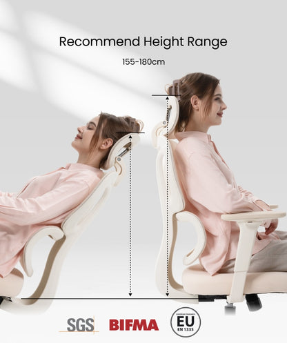 FLEXISPOT Ergonomic Chair with Cloud-like Cushion (BS5 Series)