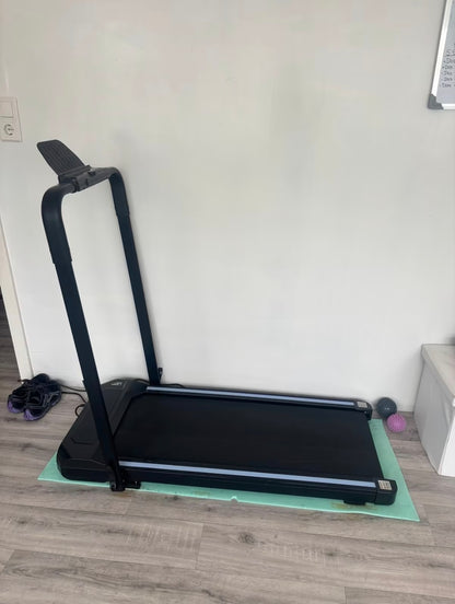 BK Barbara Klein 2-in-1 Treadmill