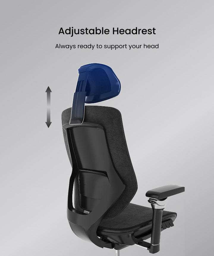 FLEXISPOT Multifunctional Fabric Ergonomic Chair (BS12 PRO)
