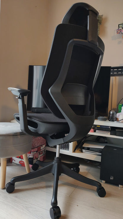 FLEXISPOT Multifunctional Fabric Ergonomic Chair (BS12 PRO)