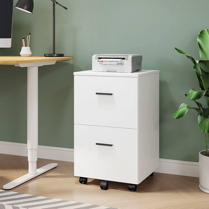 Panana 2 Drawer Mobile File Cabinet