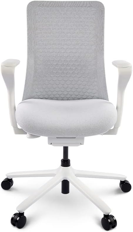 FLEXISPOT BackSupport BS13 Office Chair