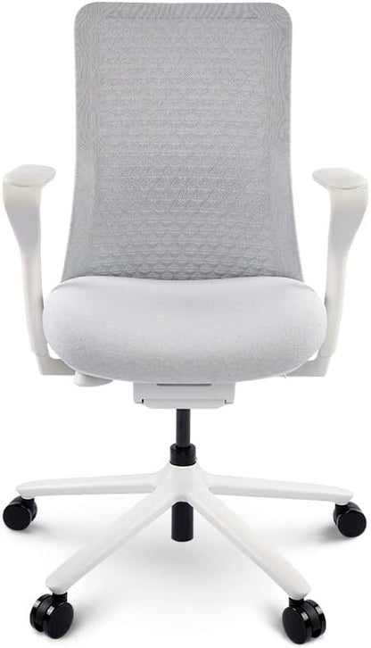 FLEXISPOT BackSupport BS13 Office Chair