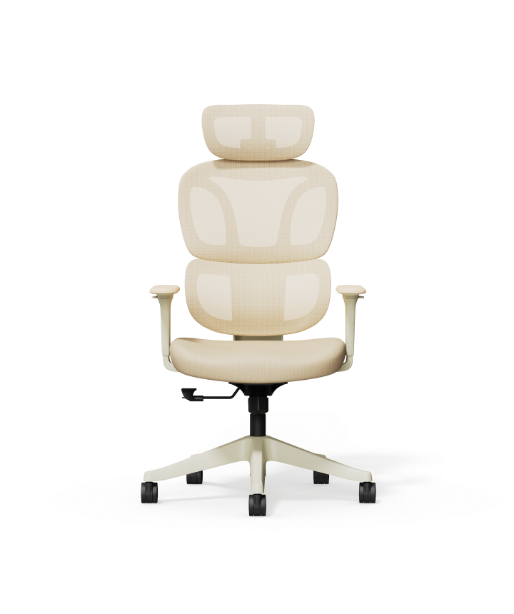 FLEXISPOT Ergonomic Chair with Cloud-like Cushion (BS5 Series)