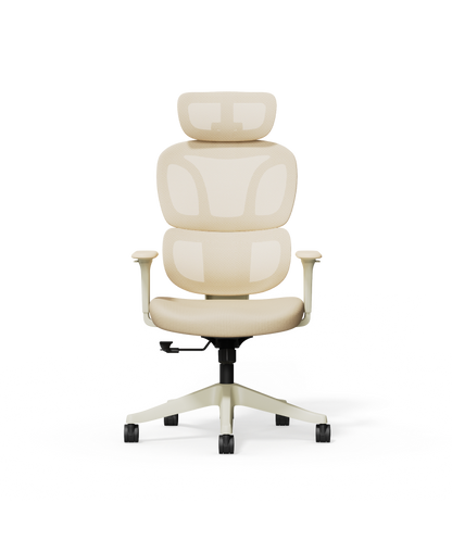 FLEXISPOT Ergonomic Chair with Cloud-like Cushion (BS5 Series)