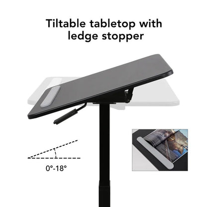 Flexispot Height Adjustable Mobile Desk MT3