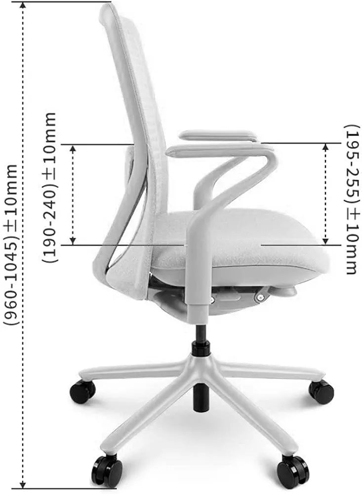 FLEXISPOT BackSupport BS13 Office Chair