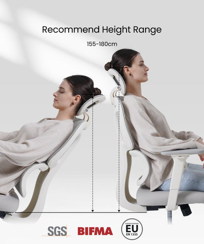 FLEXISPOT Ergonomic Chair with Cloud-like Cushion (BS5 Series)