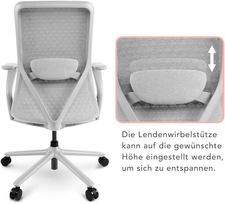 FLEXISPOT BackSupport BS13 Office Chair
