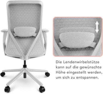 FLEXISPOT BackSupport BS13 Office Chair