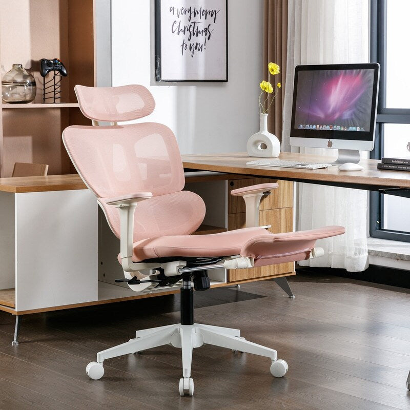 FLEXISPOT Ergonomic Chair with Cloud-like Cushion (BS5 Series)