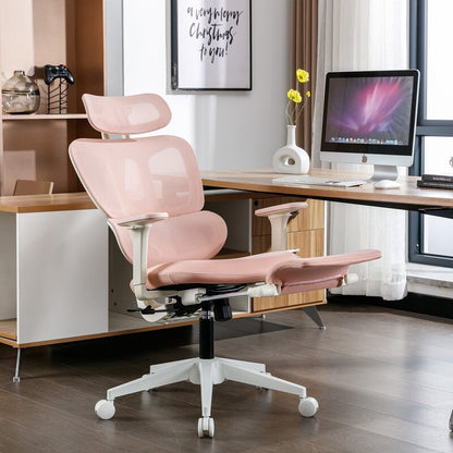 FLEXISPOT Ergonomic Chair with Cloud-like Cushion (BS5 Series)