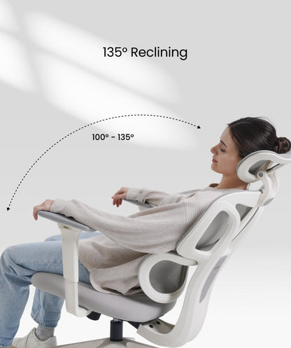 FLEXISPOT Ergonomic Chair with Cloud-like Cushion (BS5 Series)