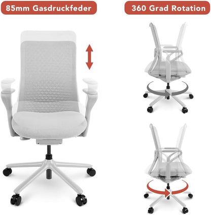 FLEXISPOT BackSupport BS13 Office Chair