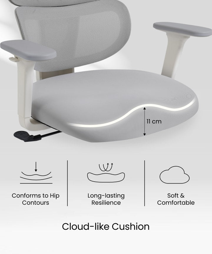 FLEXISPOT Ergonomic Chair with Cloud-like Cushion (BS5 Series)