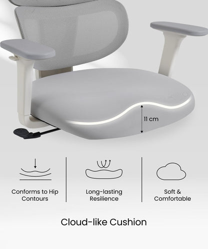 FLEXISPOT Ergonomic Chair with Cloud-like Cushion (BS5 Series)