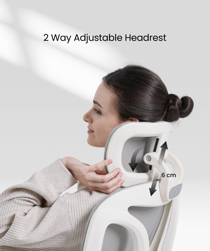 FLEXISPOT Ergonomic Chair with Cloud-like Cushion (BS5 Series)